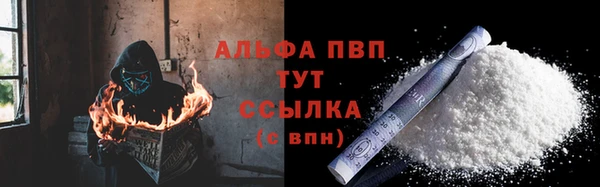 ГАЛЛЮЦИНОГЕННЫЕ ГРИБЫ Белоозёрский