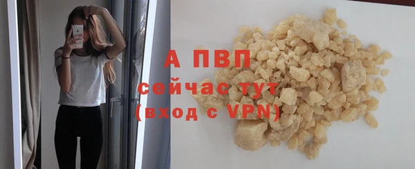 ГАЛЛЮЦИНОГЕННЫЕ ГРИБЫ Белоозёрский