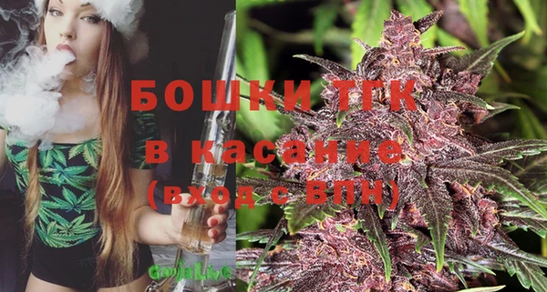 ГАЛЛЮЦИНОГЕННЫЕ ГРИБЫ Белоозёрский